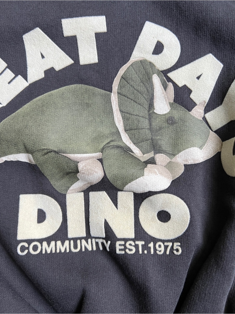 Zara great days Dino plush letters crewneck sweatshirt kids size 5 - Picture 2 of 5